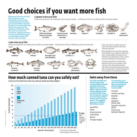 Consumer Reports Reveals Low-Mercury Fish Choices