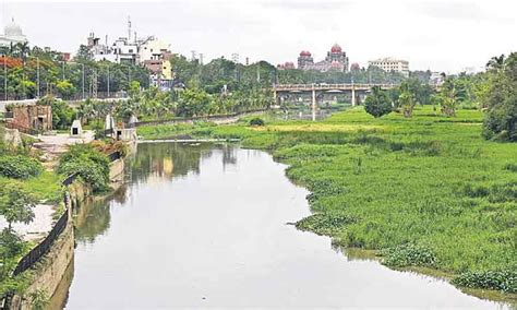 NGT sets up committee to clean Hyderabad's Musi river