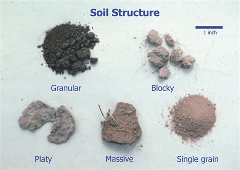 Ecomerge: What Soil Aggregates Are and How its Stability Affects Soil ...