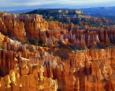 Hoodoo Rock Formations, Bryce Canyon by Design Pics/david L. Brown