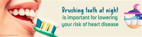 Regularly Brush Your Teeth at Night to Prevent Heart Disease