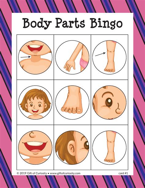 Body Parts Bingo Game | Body parts preschool, Body parts for kids, Body ...