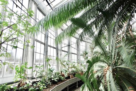 Back to Nature in Copenhagen Botanical Garden - Michelle Franc ...