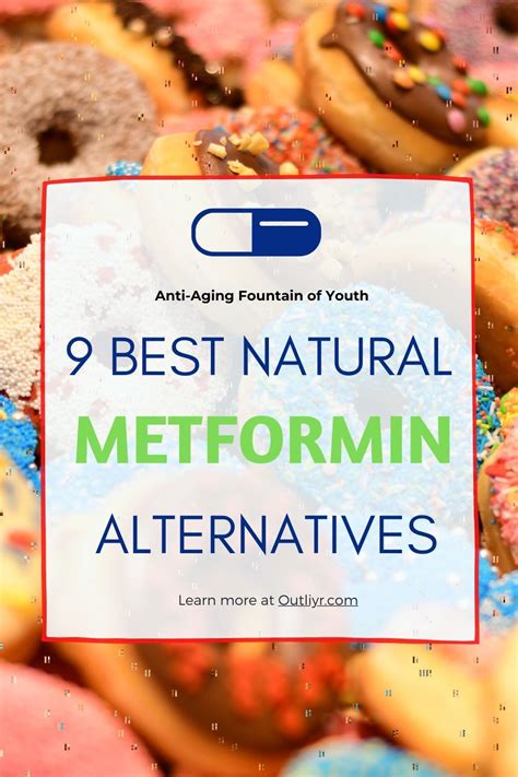 Natural Metformin Alternatives: 9 Best Options in 2020 | Metformin ...