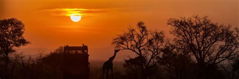 African Safari Sunset de Wallmural | Wallpassion