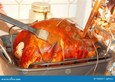 Basting Turkey stock photo. Image of bird, avian, preparation - 7566834