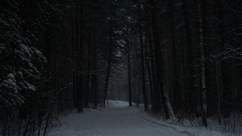 Dark Snowy Forest Images – Browse 59,151 Stock Photos, Vectors, and ...