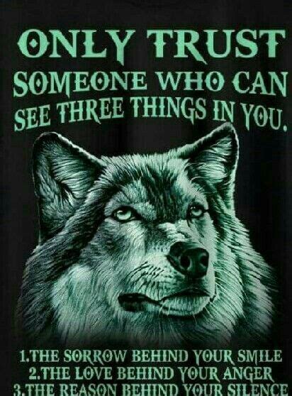 33 Best Wolf meme images in 2020 | Wolf, Wolf meme, Wolf quotes