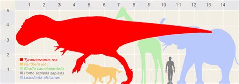 Dinosaur Size Comparison Elephant