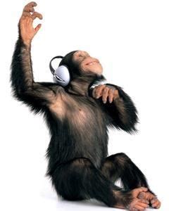 Digital Monkey Music - Shelbyville, IN - DJ