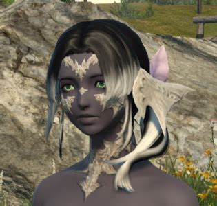 Adventure Hairstyle - Final Fantasy XIV Online Wiki - FFXIV / FF14 ...