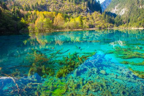 Five Flower Lake, Jiuzhaigou Valley | Jiuzhaigou Valley is a… | Flickr