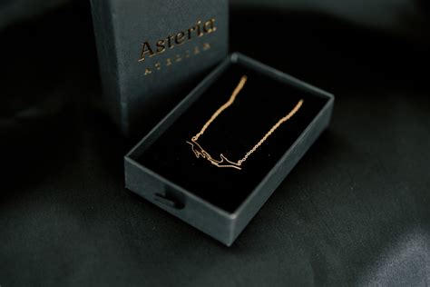 Asteria Necklace 24K Gold Plated – Asteria Atelier