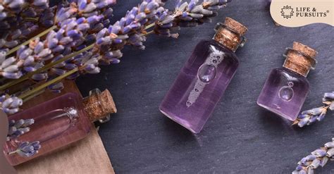 How to Release Stress using Lavender Body Oil at Home – Life & Pursuits