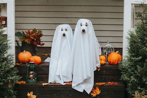 Why do we wear bedsheets as a ghost costume? A closer look at its ...