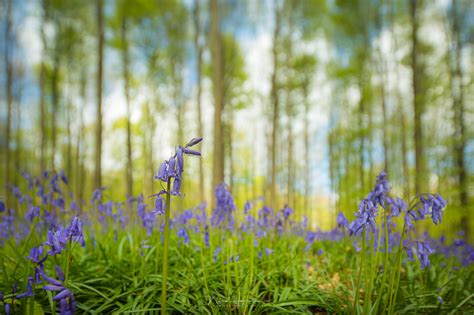 Using a Shallow Depth of Field for Landscapes | Fstoppers