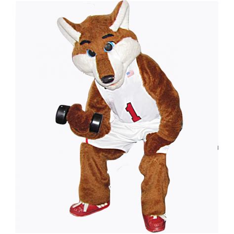 Basketball Sport Fox Costume Mascot Costume