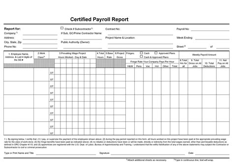 40 Free Payroll Report Templates (Excel / Word) ᐅ TemplateLab