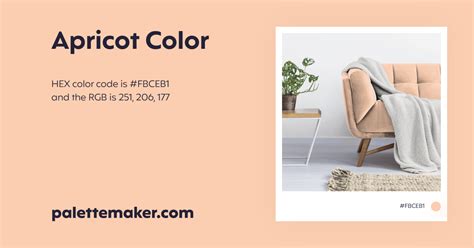 Apricot Color - HEX #FBCEB1 Meaning and Live Previews - PaletteMaker