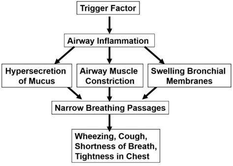 Asthma in Children - Nurses Revision