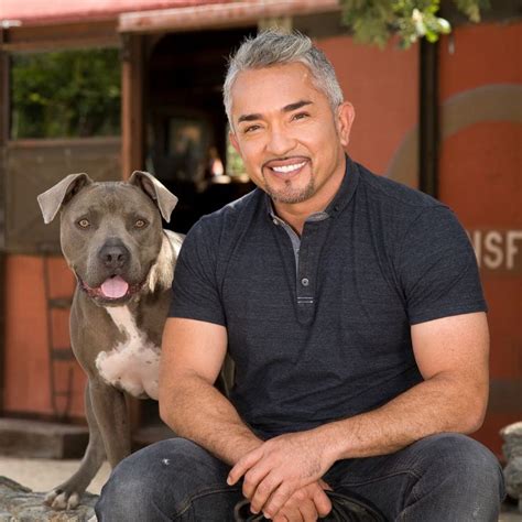 Caesar Milan - dog whisperer :) | Cesar millan, Dog whisperer, Dog ...