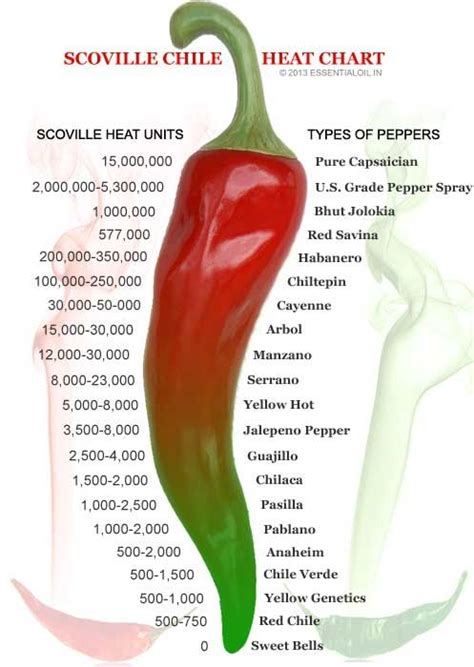 Pure Capsaicin - Capsaicin Extract Extreme Heat | Stuffed peppers, Pure ...