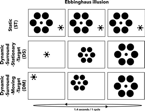 Ebbinghaus illusion. | Download Scientific Diagram