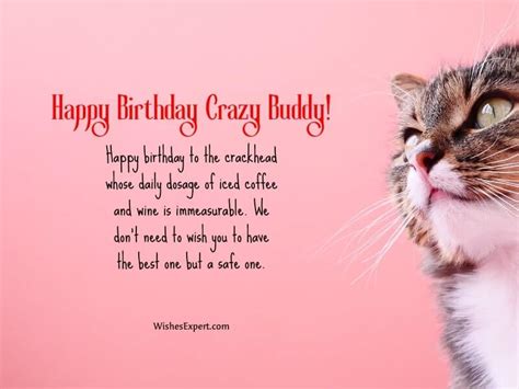 25+ Best Birthday Wishes for Crazy Friend