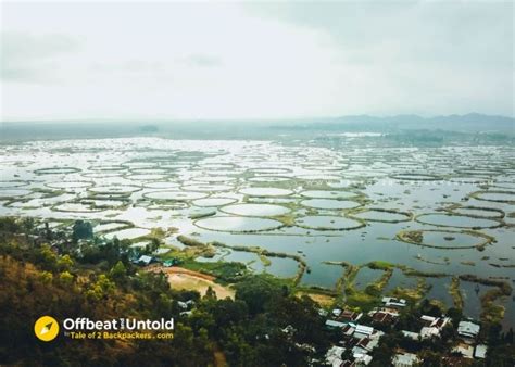 Loktak Lake - A Complete Travel Guide to Visit the Jewel of Manipur ...