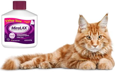 Miralax For Cats | Dosage Chart - Benefits & Side Effects