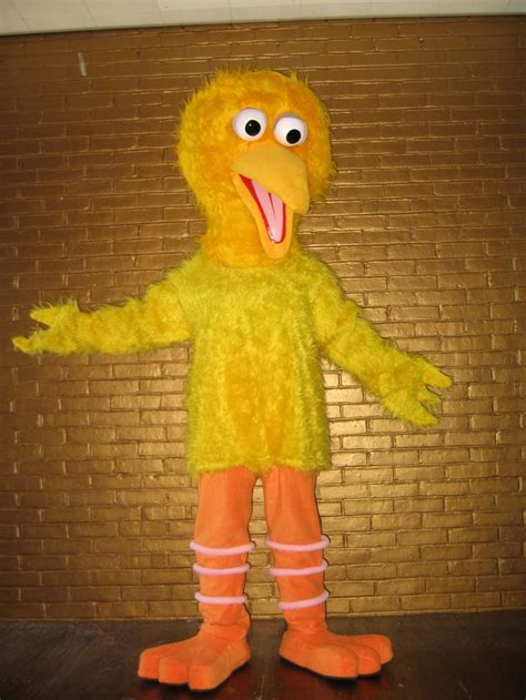 Big Bird | Big bird costume, Big bird, Bird costume