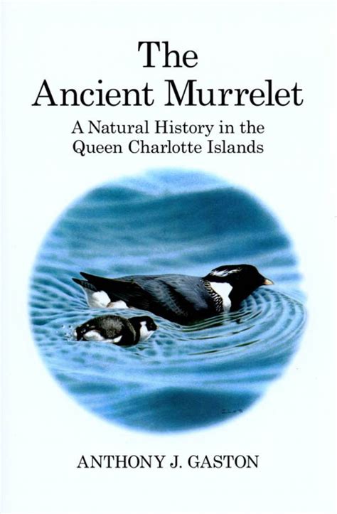 The Ancient Murrelet: A Natural History in the Queen Charlotte Islands ...