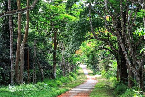 The Cuc Phuong National Park Tourism development plan – Ninh Binh ...