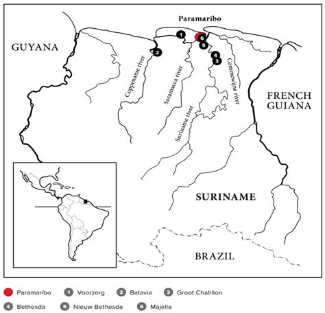 The Impact Of Dutch Colonization On Suriname's Culture And Society ...