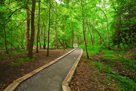 Accessible & Stroller-Friendly Hiking Trails in the Smoky Mountains