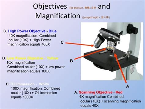 Microscope review