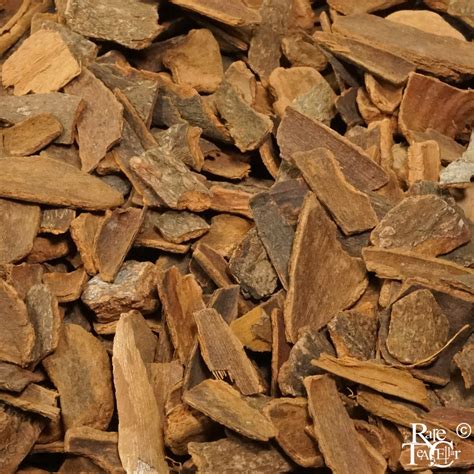 Saigon Cinnamon Bark | Rare Tea Cellar