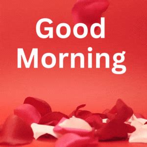 Rose Good Morning Gif for Love | Lets Wake Up Early in the Morning