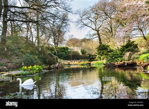 Hodnet Hall Gardens Stock Photo - Alamy