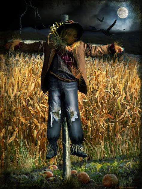 The Scarecrow by Cheryl Lawhon