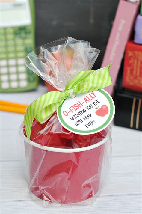 Apple for the Teacher Gift Idea – Fun-Squared