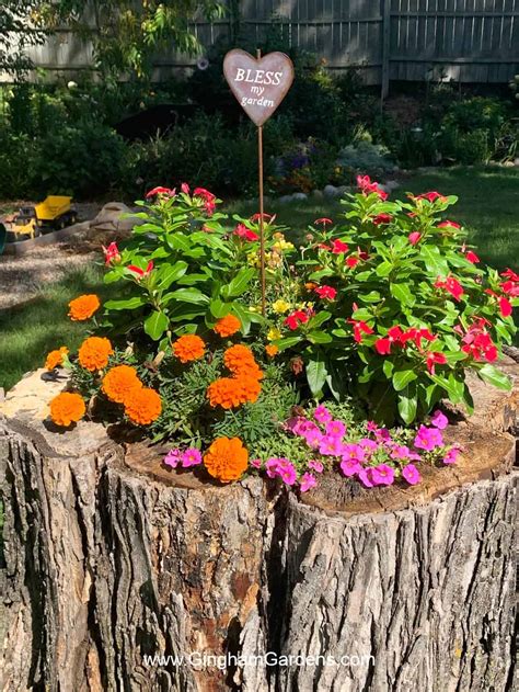 How to Make a Tree Stump Planter (Lots of Creative Ideas) - Gingham Gardens