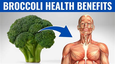 BENEFITS OF BROCCOLI - 10 Reasons To Eat Broccoli Every Day! - YouTube