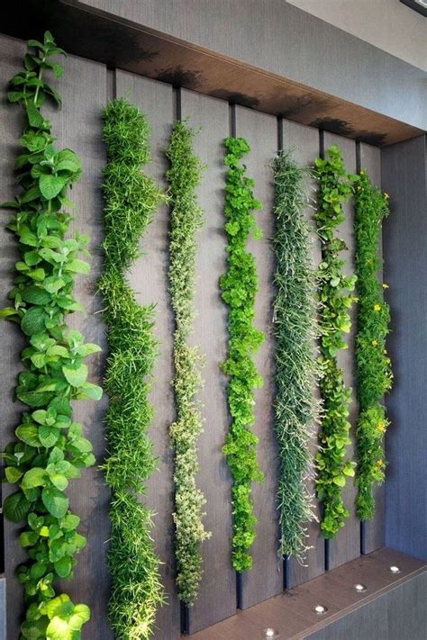 Vegetable Garden Wall Ideas