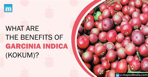 What are the benefits of Garcinia Indica (Kokum)? - Benefits