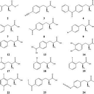 Structures of 25 commonly used phenylalanine derivatives 1 ...