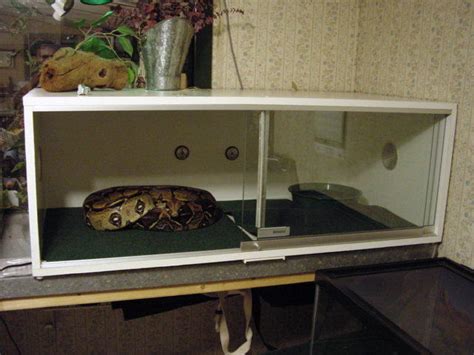 How to build enclosures for reptiles - custom snake cages - arboreal ...