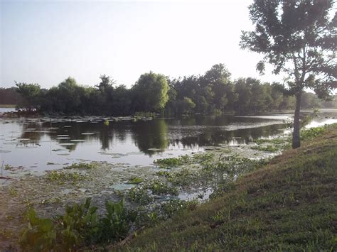 Happy Campers: Brazos Bend State Park