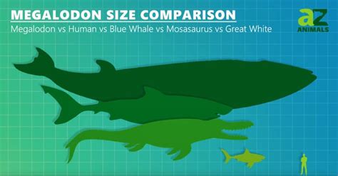 Kronosaurus vs Mosasaurus: Who Would Win in a Fight? - A-Z Animals