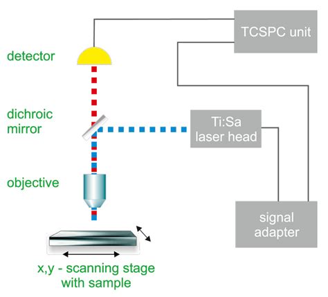 Two-Photon Excitation (TPE) | PicoQuant